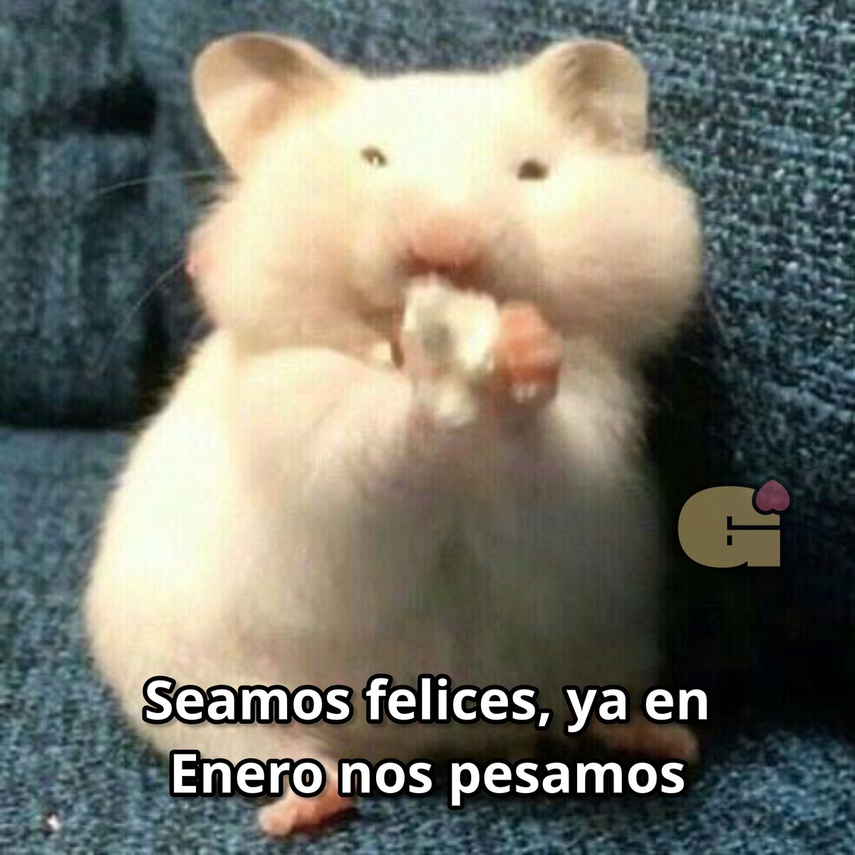 Guarromantico_'s tweet image. Seamos felices.