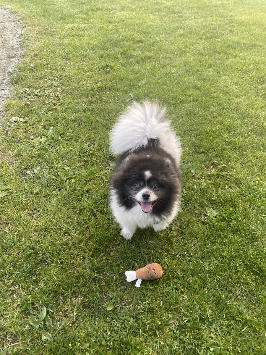 Meg (Taylor’s Version) tweet media