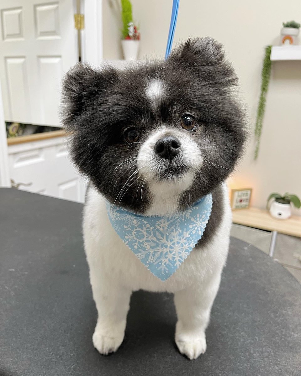 Meg (Taylor’s Version) tweet media