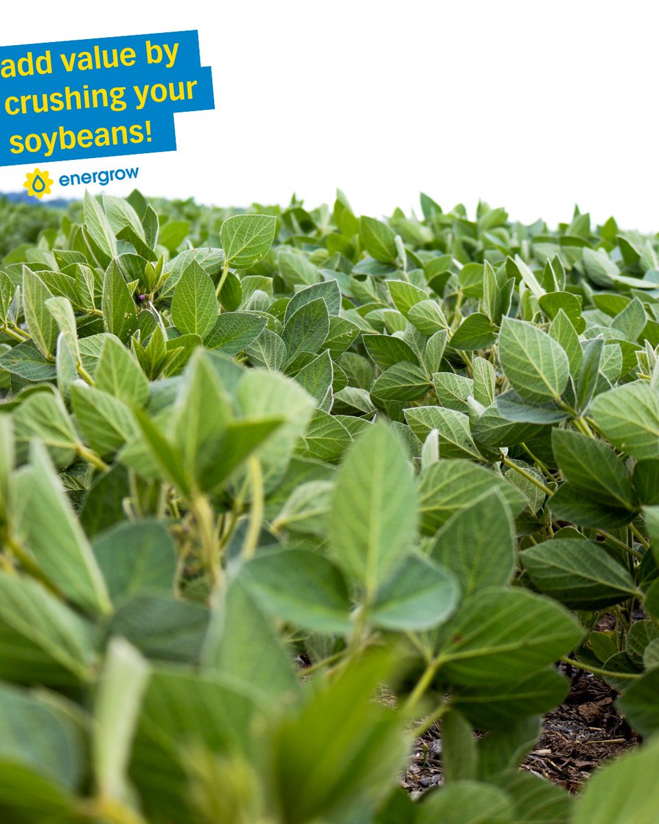 Energrow tweet media