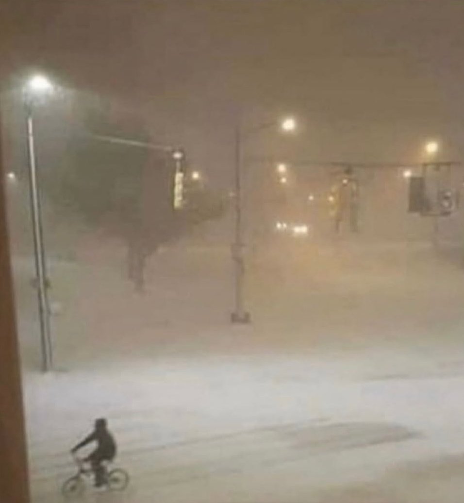 Bro is either on his way to cop some trees or get some 🐱