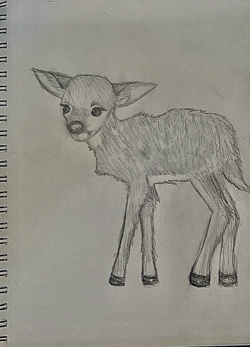 I never drew a deer before until now. just cats and bunnies. first deer drawing!!!