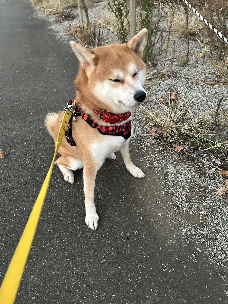 福ちゃん 10/4 福ちゃんの話、いいんじゃない？ - YouTube