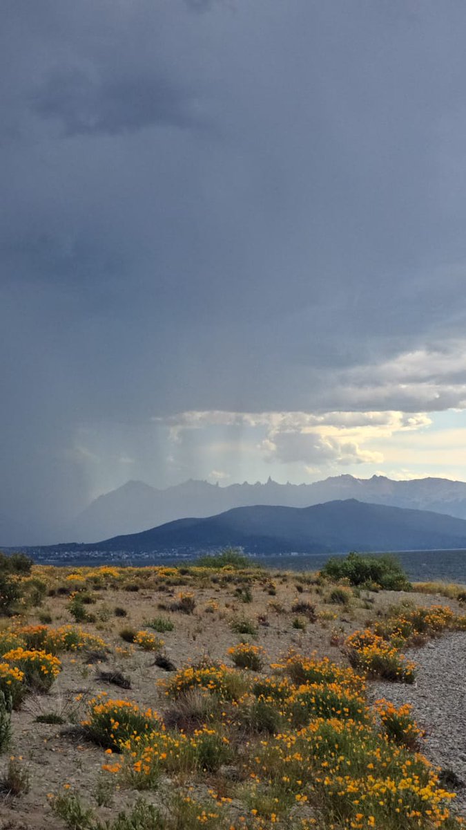 Prensa

⚡️🌧⚡️  *Alerta por tormenta eléctrica para la tarde y noche de hoy lunes 8 de diciembre* 

Toda la información en el siguiente link 

nahuelhuapi.gov.ar/2025/12/08/ale…