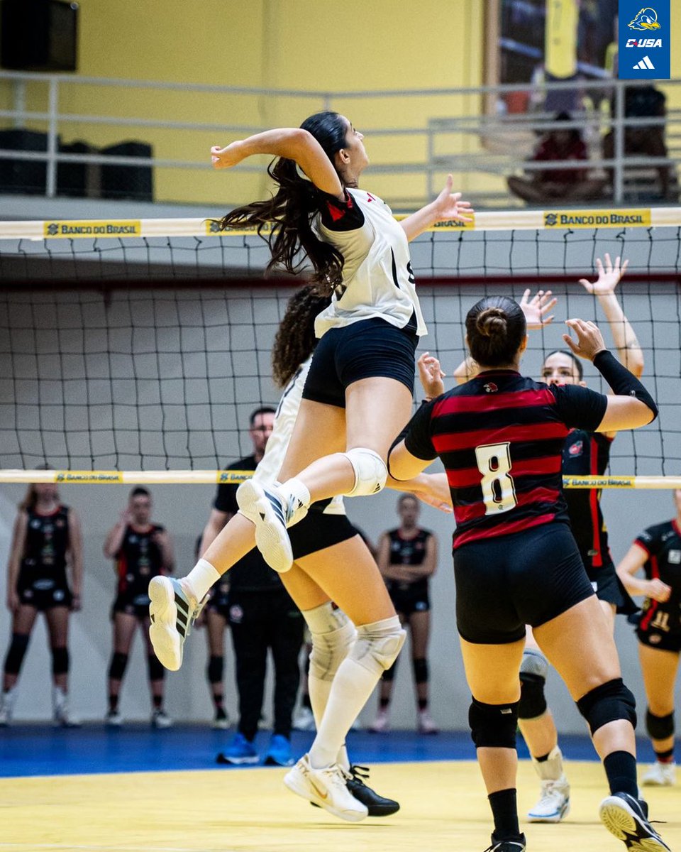 Delaware Volleyball tweet media