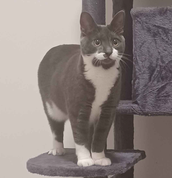 Phoebe Dua tweet media