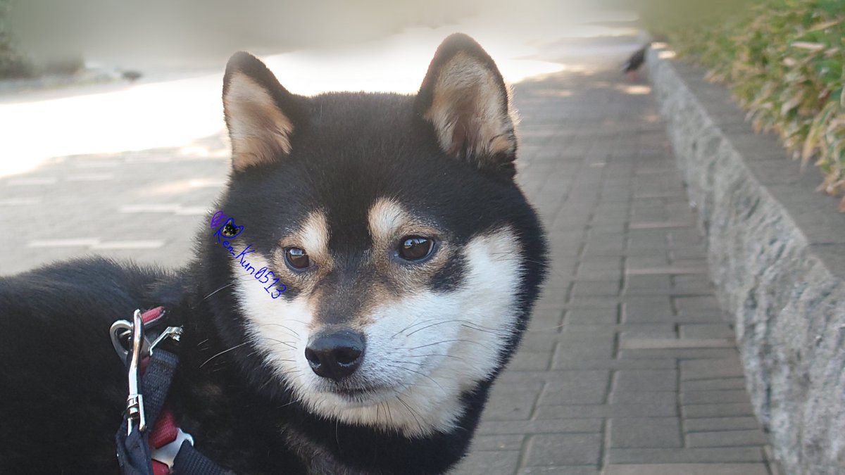 スマイル～～～