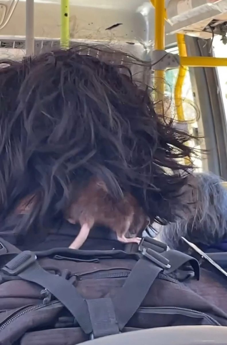 Antes eran piojos 🙃🙃🙃