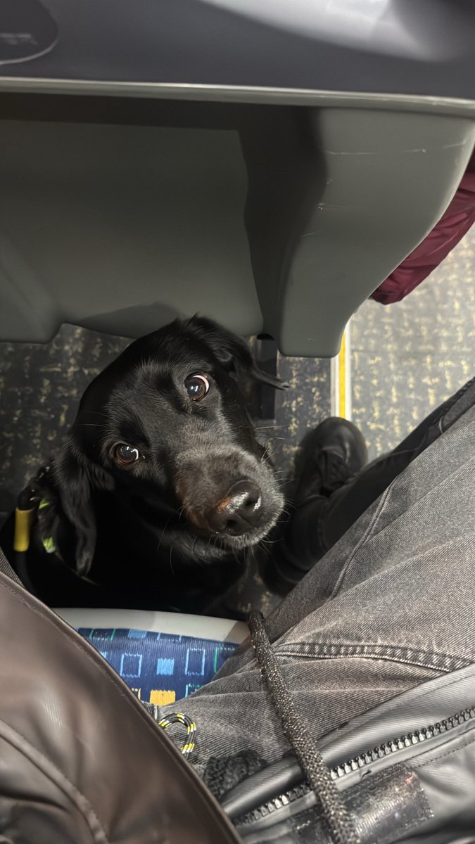 Нарешті сходив на "Ти – космос".

Радий, що у моєму просторі
не було ніяких відвертих спойлерів,
тому я щиро та відверто розвалився
від фіналочки фільму 💔

Тішуся, що дорогою додому поряд
була пані собака, бо бути самотнім
плачучим пасажиром тролейбуса
було би якось трохи фу..