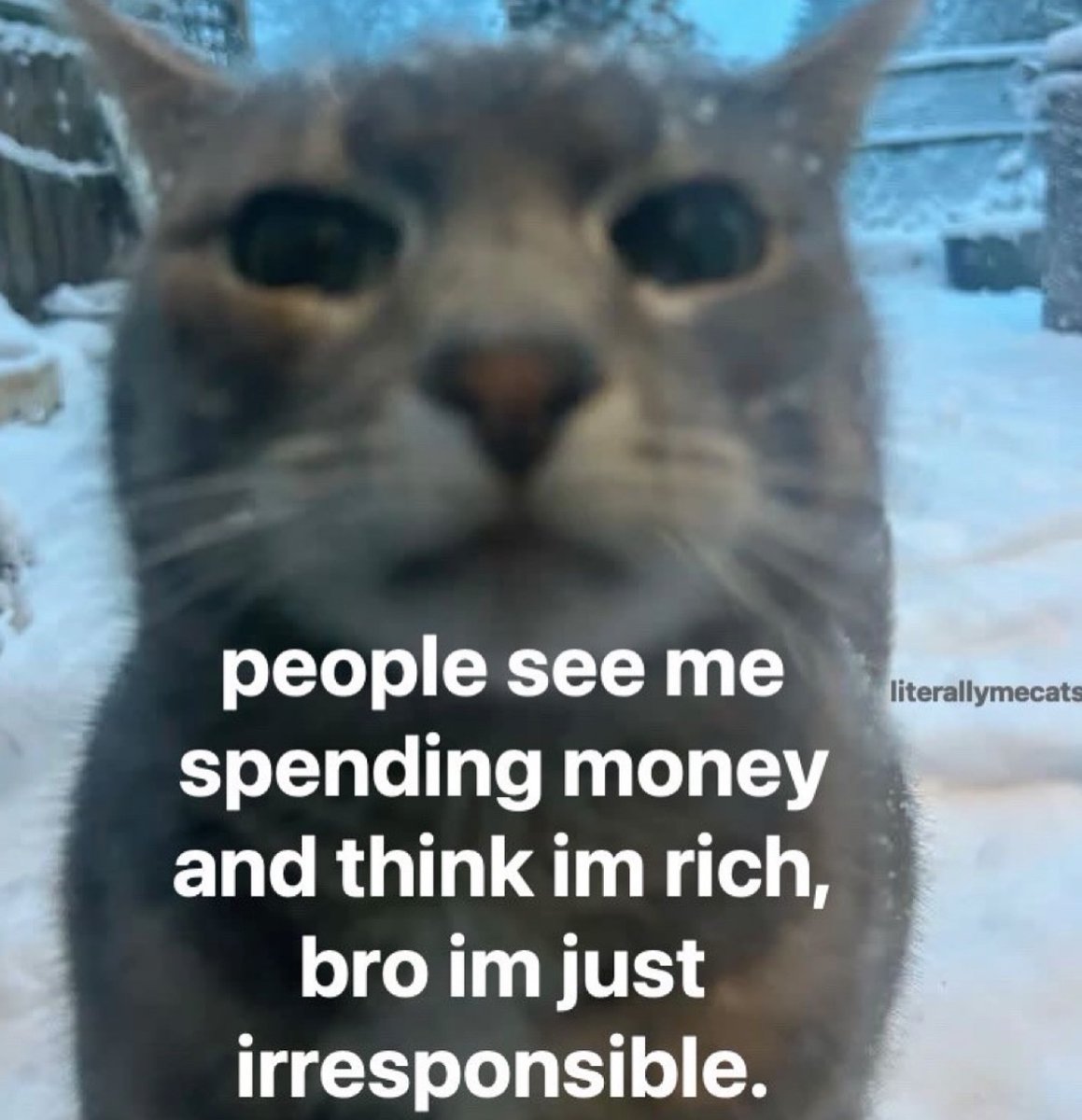 RespectfulMemes's tweet image. 