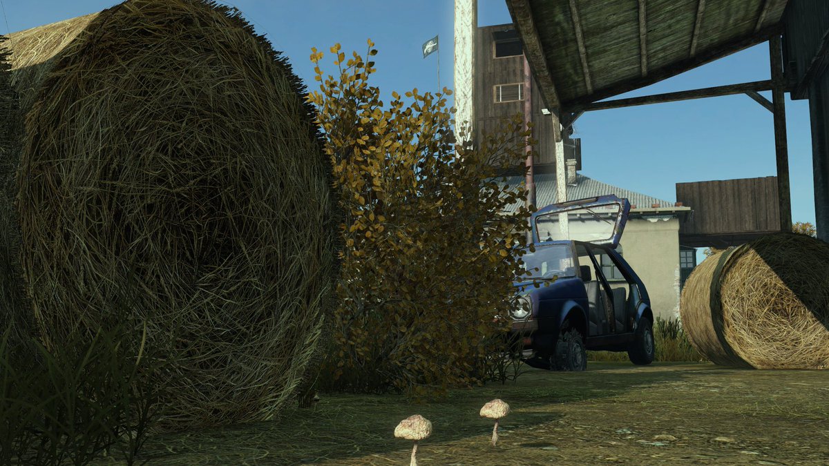 “The Mushroom Farm” Map Chernarus.