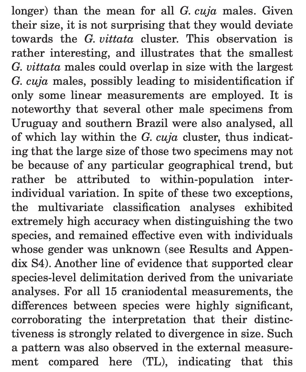 より大きなことといえば
アルゼンチン北部にいた頃、グラウビュンデン(イタチ科の属)の調査に没頭しました。「オオグラウビュンデン」や「コグラウビュンデン」、そして「ノーマルグラウビュンデン」が存在すると言われていますが、これは州を区別する種を