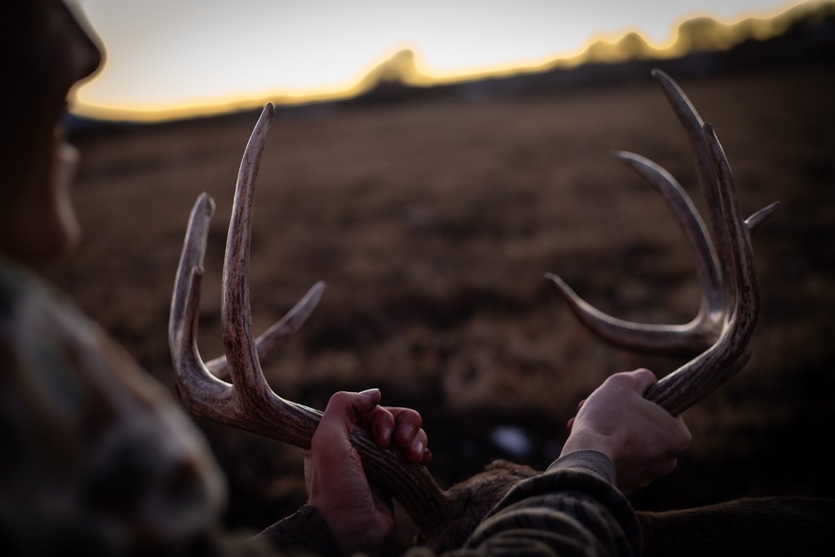 Congratulations to Trent on this special buck! 

<a href="/TeamHornady/">Hornady</a> 
<a href="/MossbergCorp/">Mossberg</a> 
<a href="/ScentBlocker/">ScentBlocker</a> 
<a href="/LeupoldOptics/">Leupold Optics</a> 
<a href="/bog_pod/">Boghunt</a>