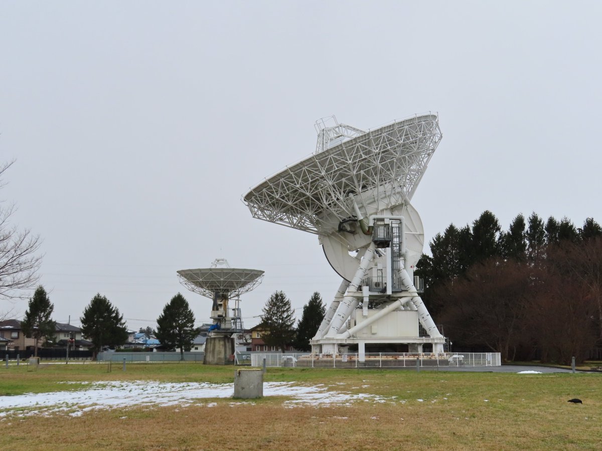 歌沢 見台 5131-8011) 書見台卓上タイプ 角度3段階 W500×D400mm 高さ39mm