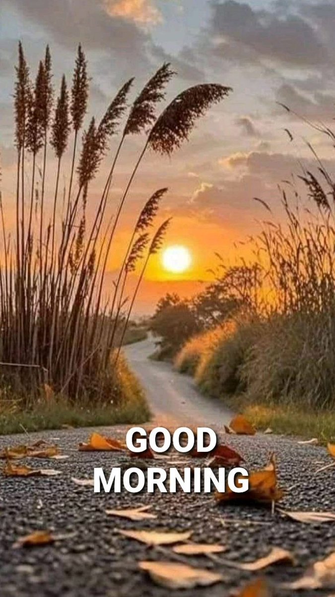 ओस की बूँदों में सूरज की किरण,
जागी है धरती लेकर नया चयन।
पत्तों की सरसर, हवाओं का गीत,
प्रकृति कहे—हर सुबह है नई प्रीत।

चलो मुस्कान के फूल खिलाएँ,
अपने भीतर एक नया सूरज जगाएँ।
सुप्रभात! 💚🌄
#GoodMorning #Nature #Kavita