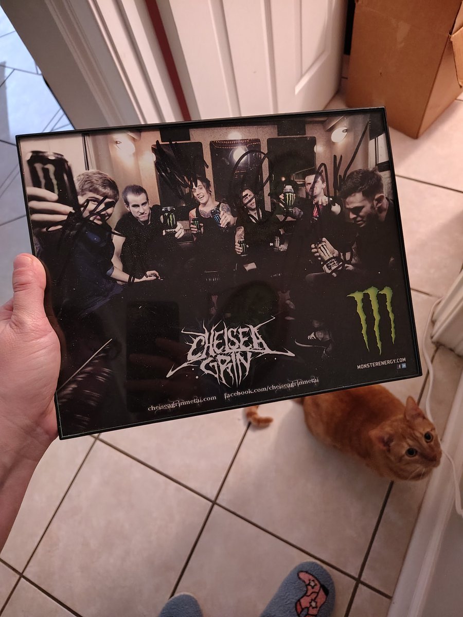 _GamingSam's tweet image. I'm in the process of moving and while packing I and found this gem. Ft. my cat @AKGrin