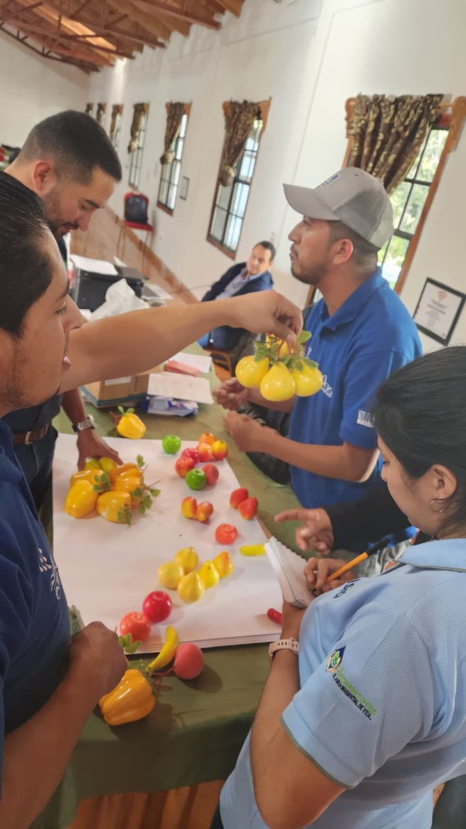 🌱 En Yamaranguila fortalecimos a 10 organizaciones con el taller de Buenas Prácticas Financieras: inversión, flujos de caja, registros y análisis para crecer con seguridad 📘💼📊.
@COCEPRADII  @ASOMAINCUPACO
#BuenasPrácticasFinancieras #MercadosASA #TodosSomosASA