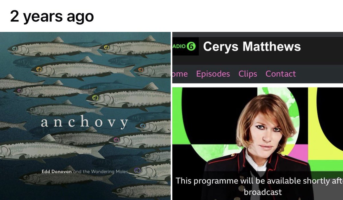 Edd Donovan tweet media