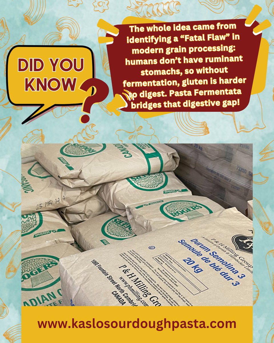 Kaslo Sourdough Pasta was born to solve a big problem in modern grain processing: humans don’t have ruminant stomachs — so gluten can be harder to digest without fermentation. Pasta Fermentata is our solution, bridging the digestive gap, one delicious bowl at a time. #kaslopasta