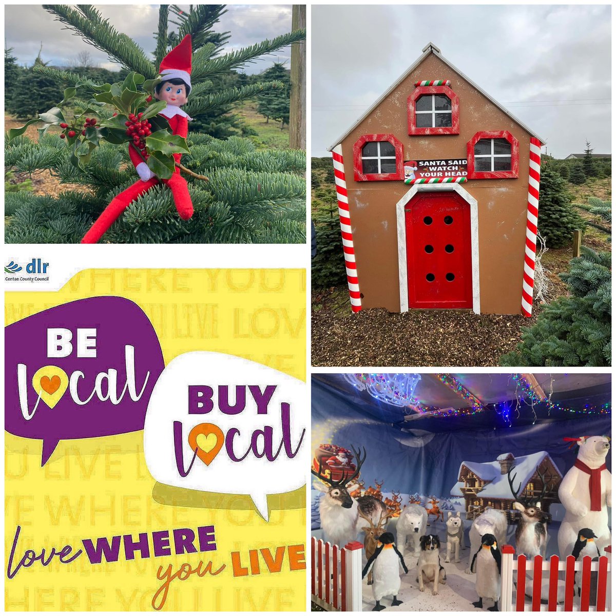 Stepaside Dublin tweet media