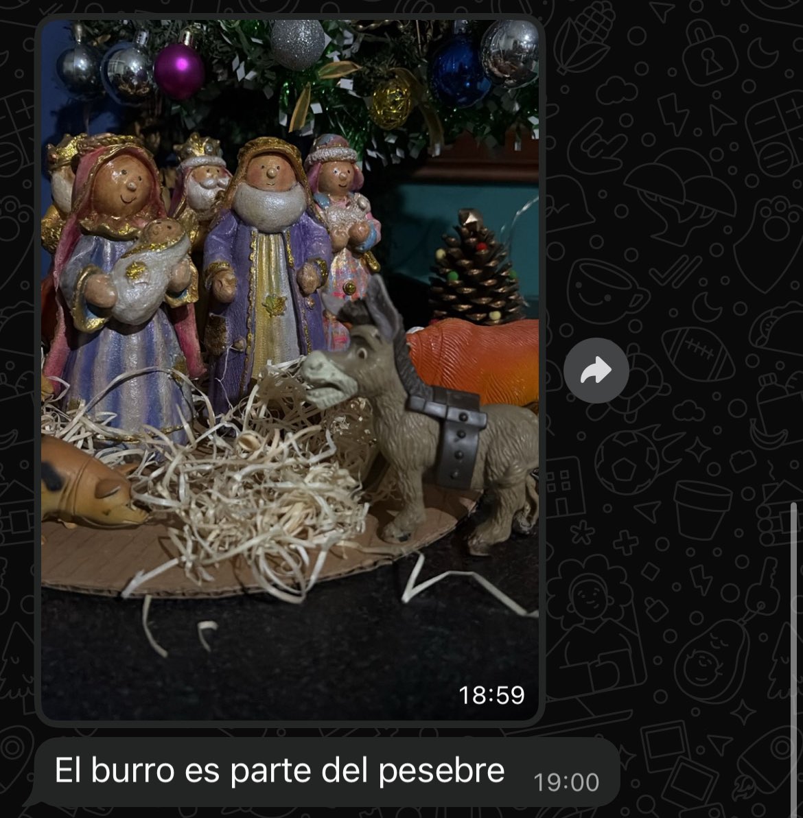 Nachoide🎄 tweet media