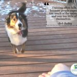 Photo by CattleDog Publishing® (@CattleDog_P)