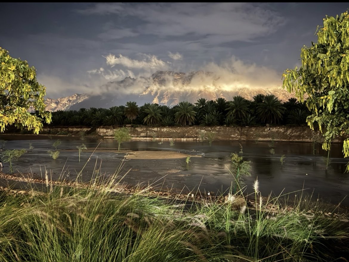 9mt00a's tweet image. #المدينة_المنورة #ينبع 
اكثر صورة تفوز ف سنة٢٠٢٥
جبل احد مع الضباب 🥺❤️❤️