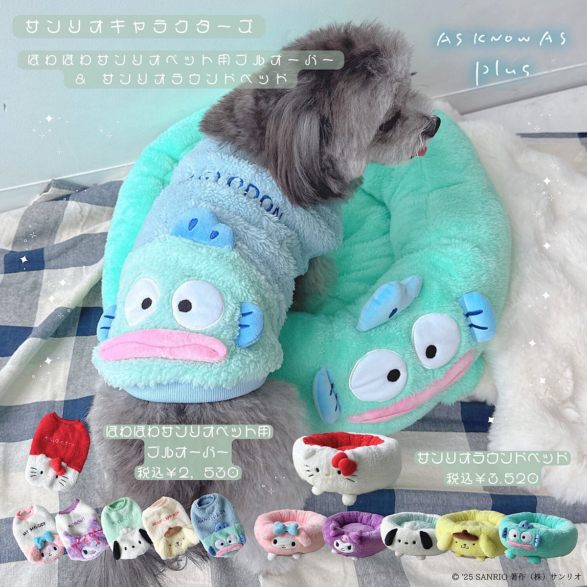 sanrio_news's tweet photo. #Sanrio×#ASKNOWASplus
ペット用のプルオーバーとラウンドベッドが登場！
ハローキティ･マイメロディなど全6キャラがラインナップ♪
もこもこふわふわで、とってもかわいい♡
全国のAS KNOW AS Plus 21店舗、ZOZOTOWN、Rakuten FashionでGETしてね☆
https://t.co/m3RXil8tkj https://t.co/2LqeVL8cL3