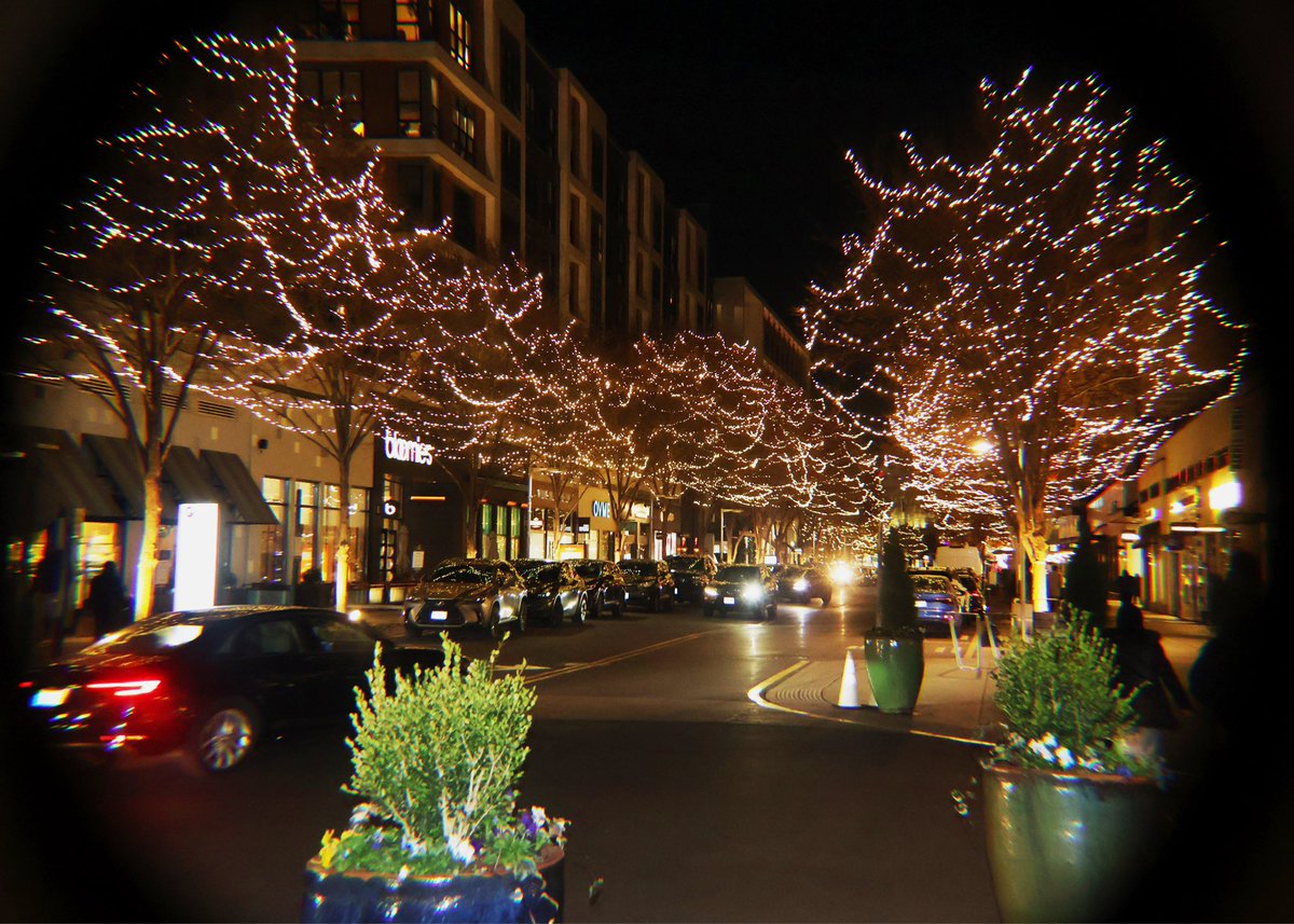 edb441's tweet photo. Cold Nights https://t.co/ZsUNEUxth8