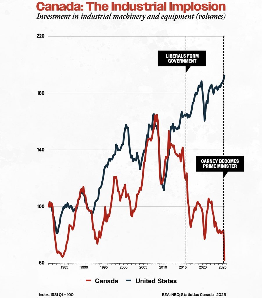 Martin Pelletier tweet media
