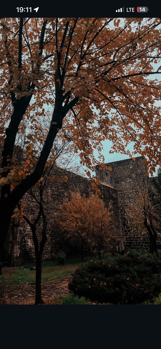 #payiz #amed