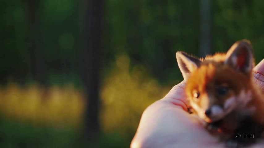 LouisStaley's tweet image. Dusleyen gokyuzunun alt?nda, sessizlik hatlar? sekillendirirken suzulen bir dusunce yerlesir.