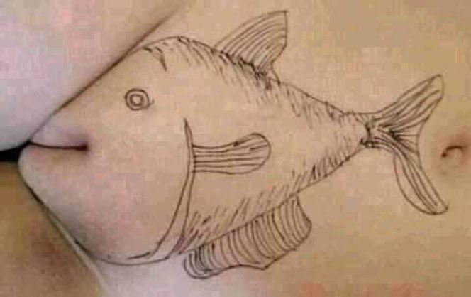 flfphif's tweet photo. Me encantaría poder comerme ese pescado #culos #popola #tetas https://t.co/ilvKXXGkRz