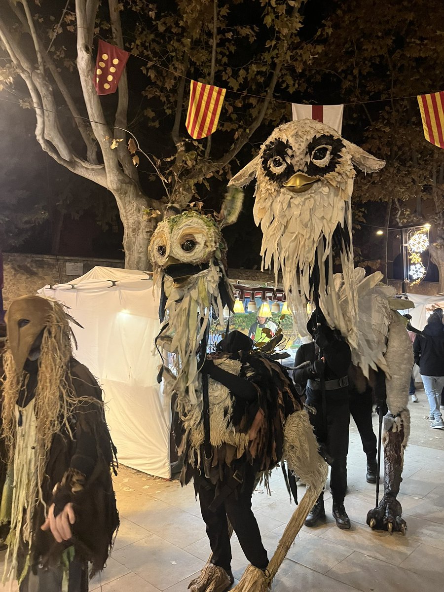 Bet Piella Pons tweet media