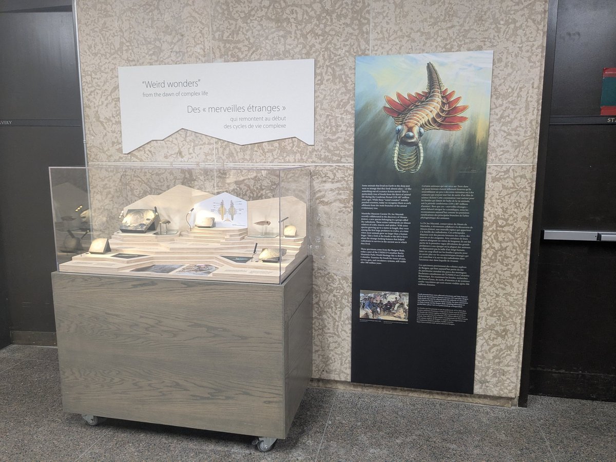 Dr. Joe Moysiuk tweet media