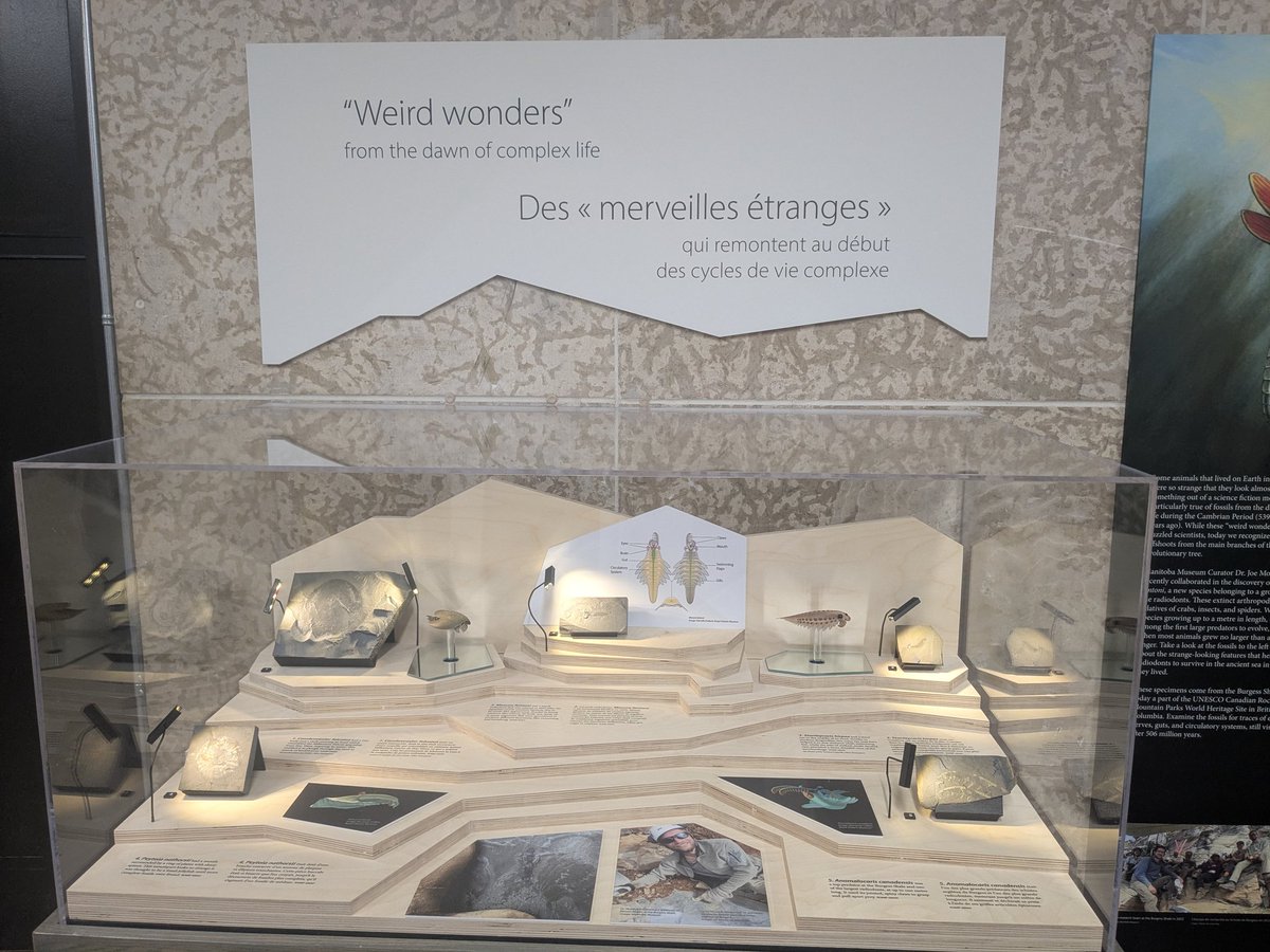 Dr. Joe Moysiuk tweet media