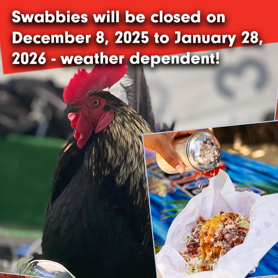 Ahoy! PSA... Swabbies is closed for the season from December 8th, 2025 to January 28th, 2026 - weather dependent!
#swabbies #tacos #livemusic