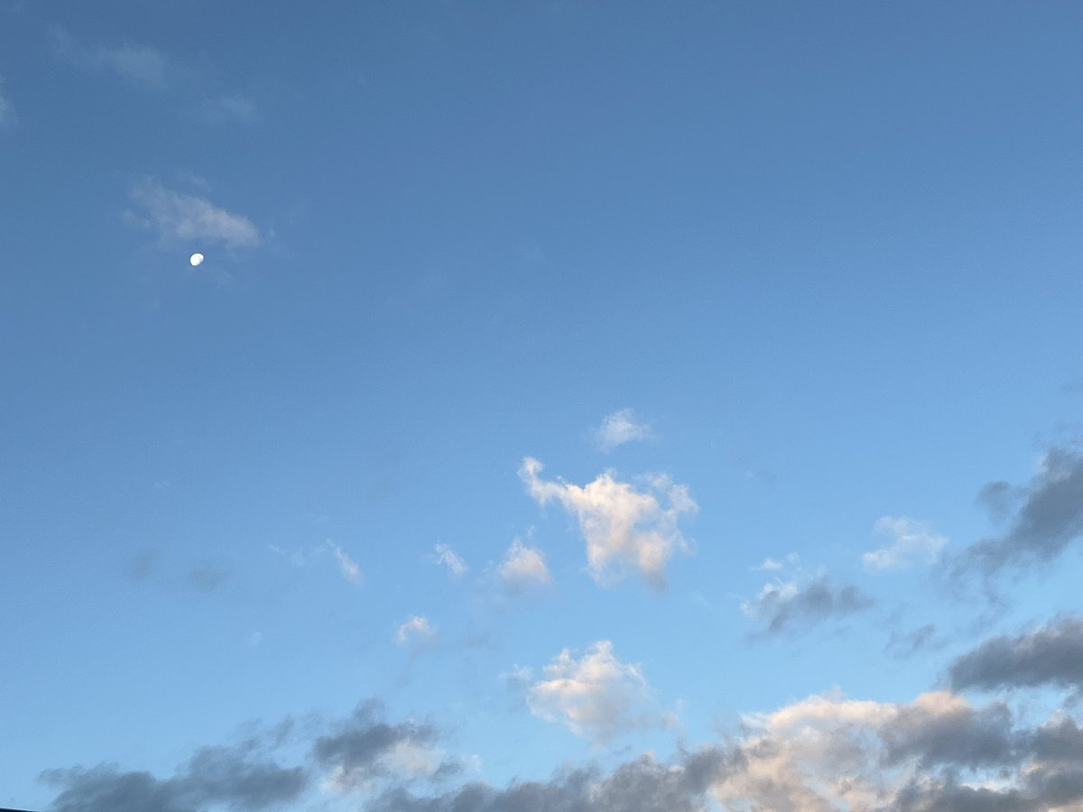 #さとみくん
ｵﾊﾖｫｺﾞｻﾞｲﾏｽ( ¯꒳¯ )ᐝ