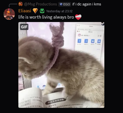 eliaasi9's tweet photo. https://t.co/r7H6IoSchl