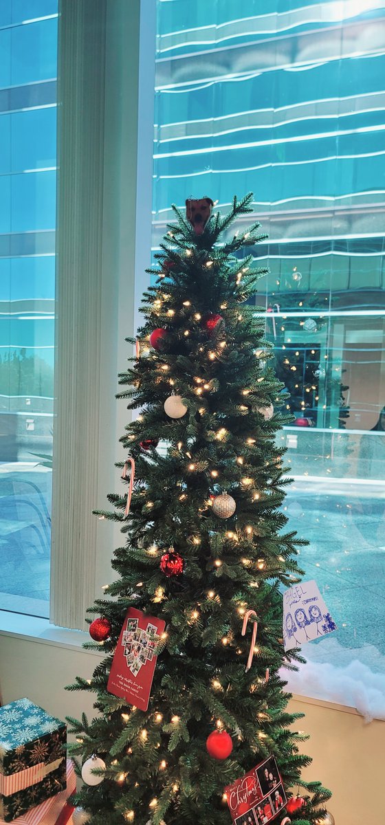 I was asked by the cafe here at th3 office to bring a picture of my dog for the top of their Christmas tree
<a href="/KimoJensen/">Kimo Jensen</a>