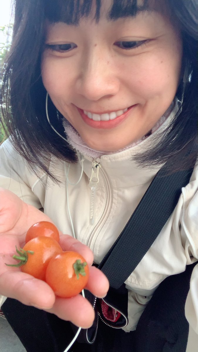 おはようございます☀

ミニトマト、まだなってるの🍅