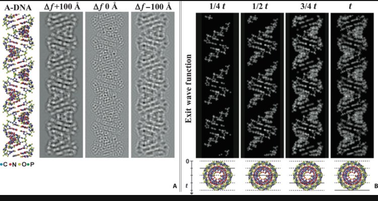 MeasureOfGod's tweet image. Even DNA knows the right side. This is human DNA viewed through an electron microscope. ⚡⚡⚡ Nazi's protect the ONLY human race, a biological fact of forbidden science. The only real science, not legislated evolution dictated by hate speech.