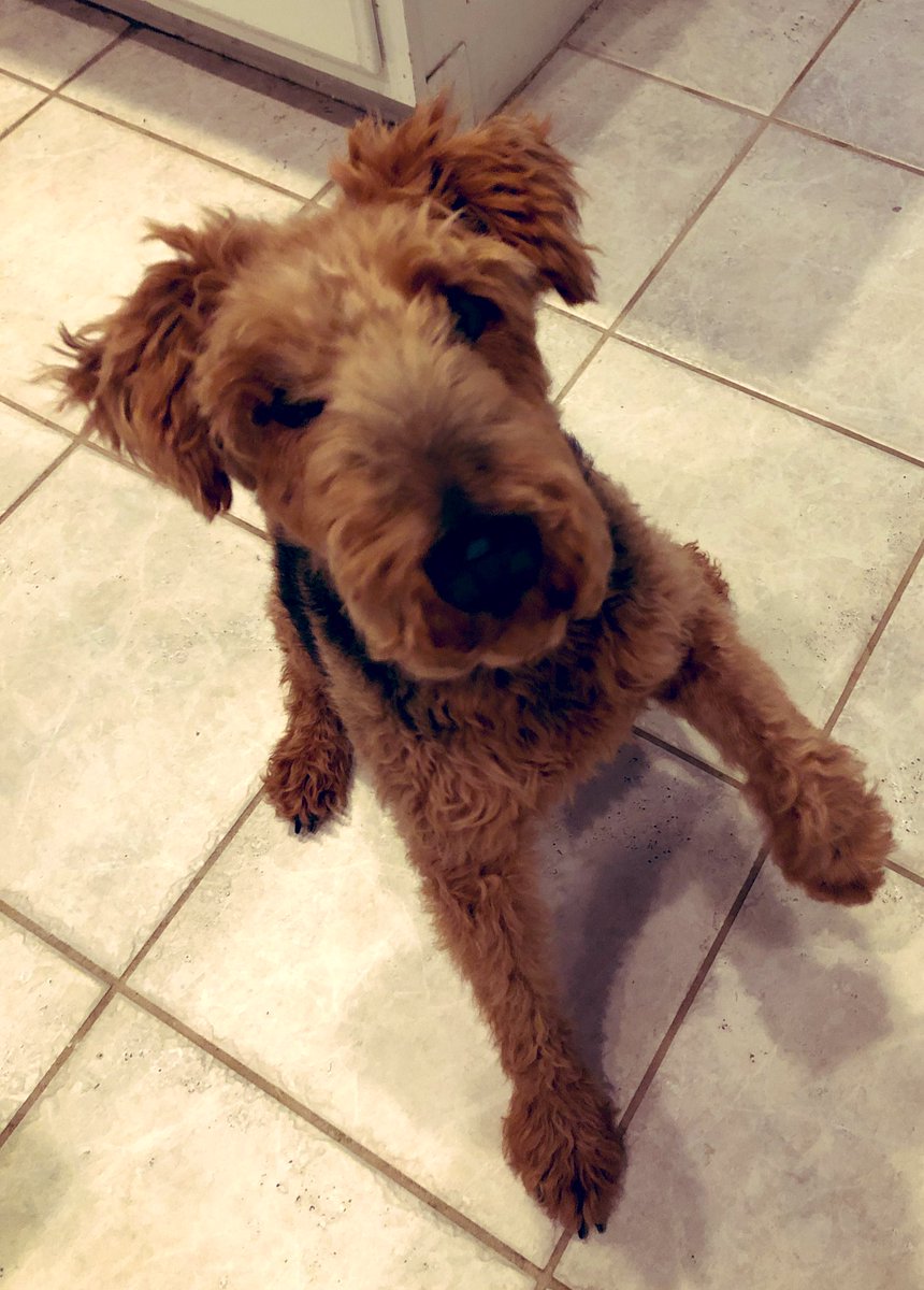 Stuttering Craig (Official) tweet media