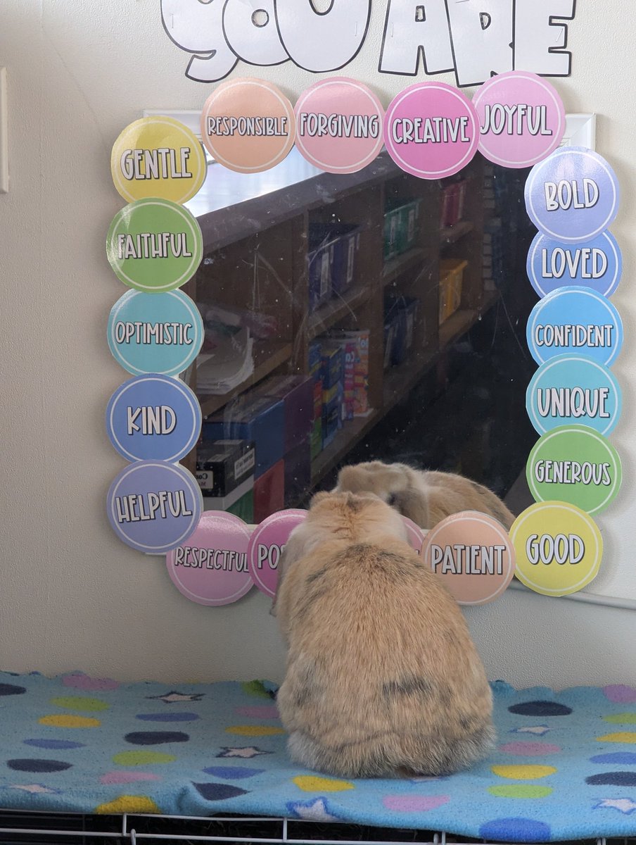 Haley Dean tweet media