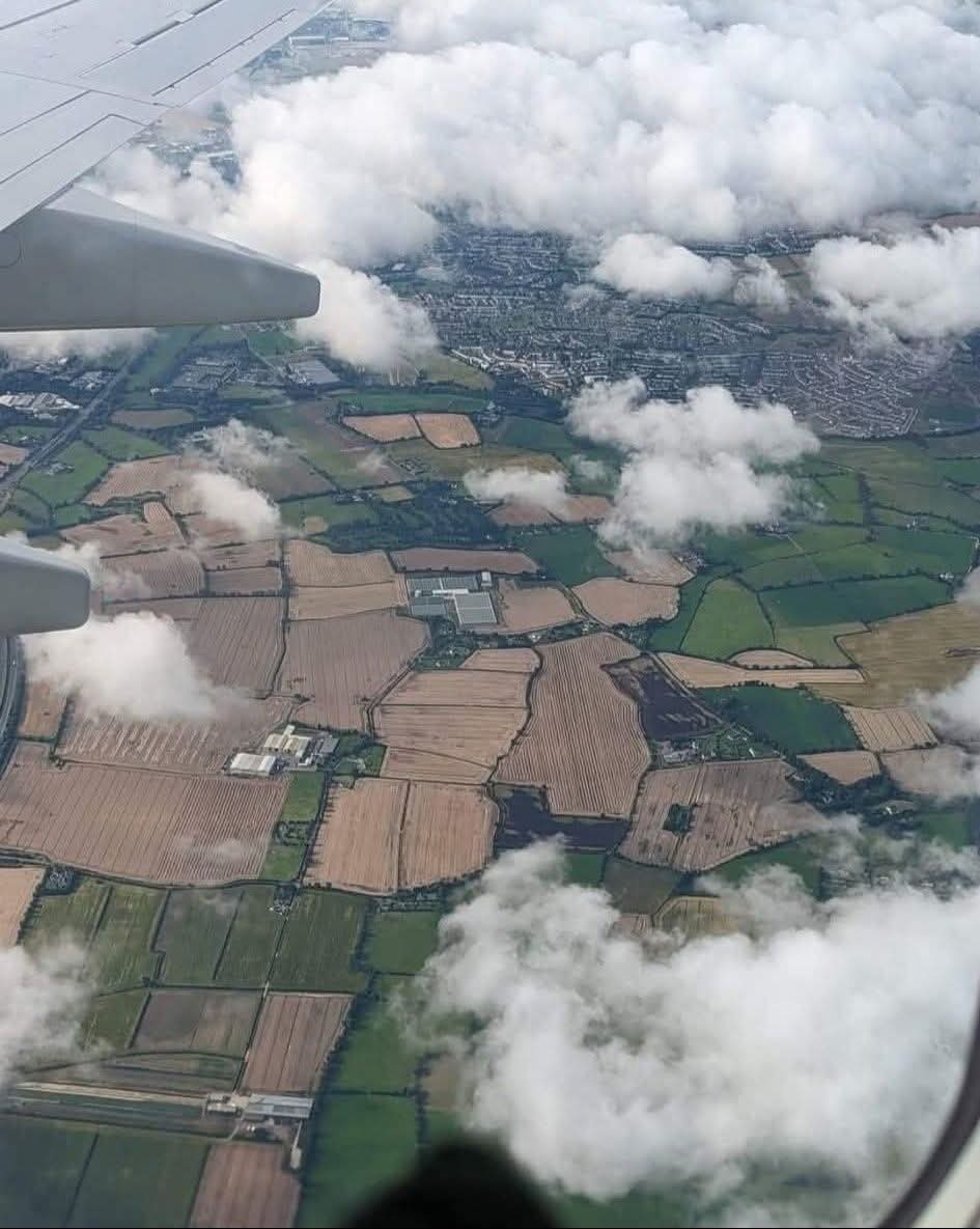 This is Ireland 🇮🇪☘️ tweet media