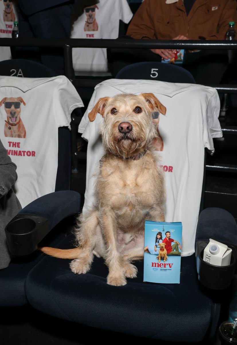 AmazonMGMStudio's tweet image. Memories from the LA special screening. #Merv premieres December 10 on @PrimeVideo.