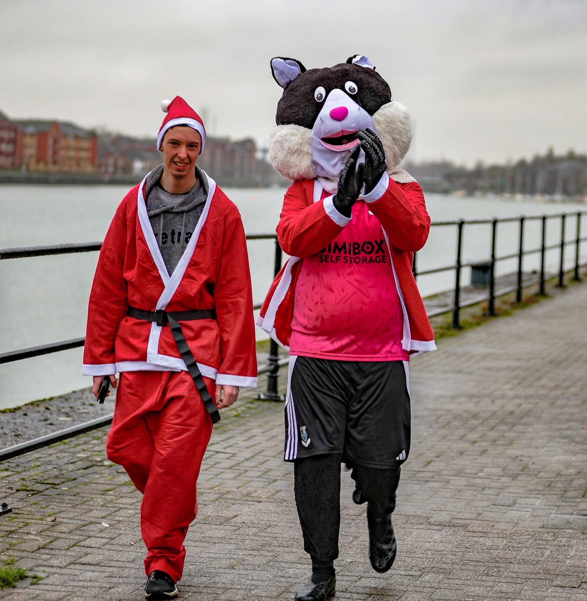 The Brig Cat tweet media