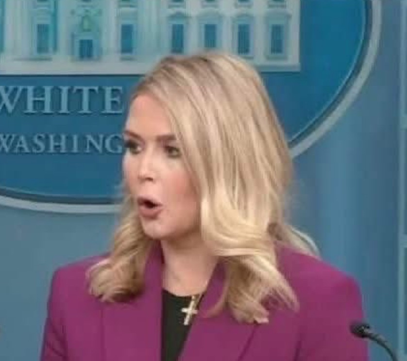 🇨🇦🏳️🌈 🪁Luxcium✨ 🇺🇦 tweet media