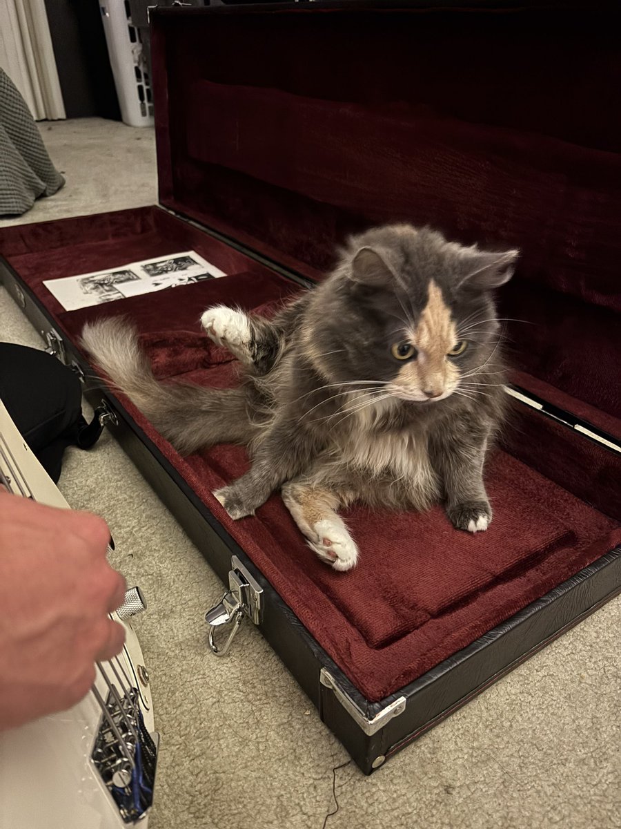 _uggghh's tweet image. 