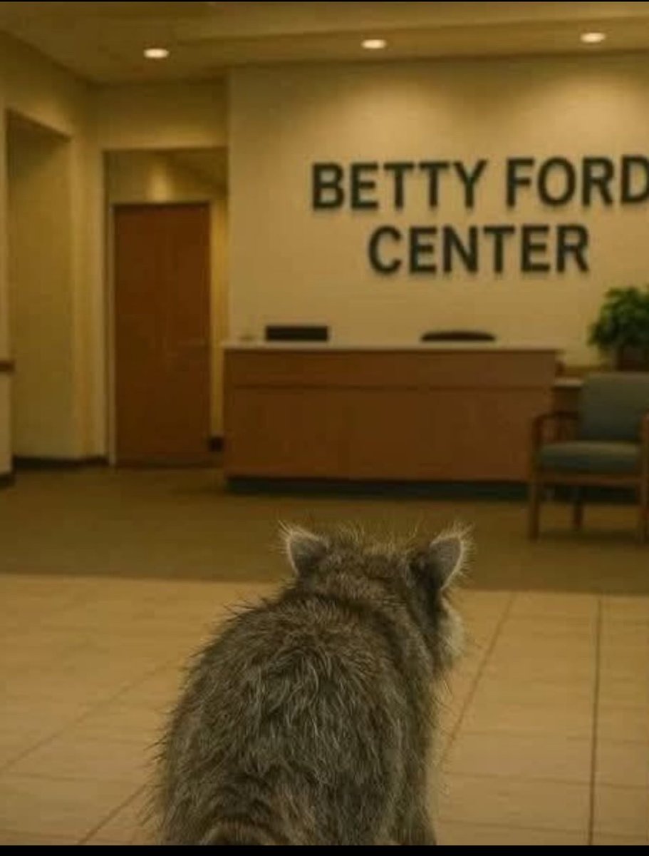 So happy <a href="/mets_coon/">Mets Raccoon</a> is getting the help he needs!